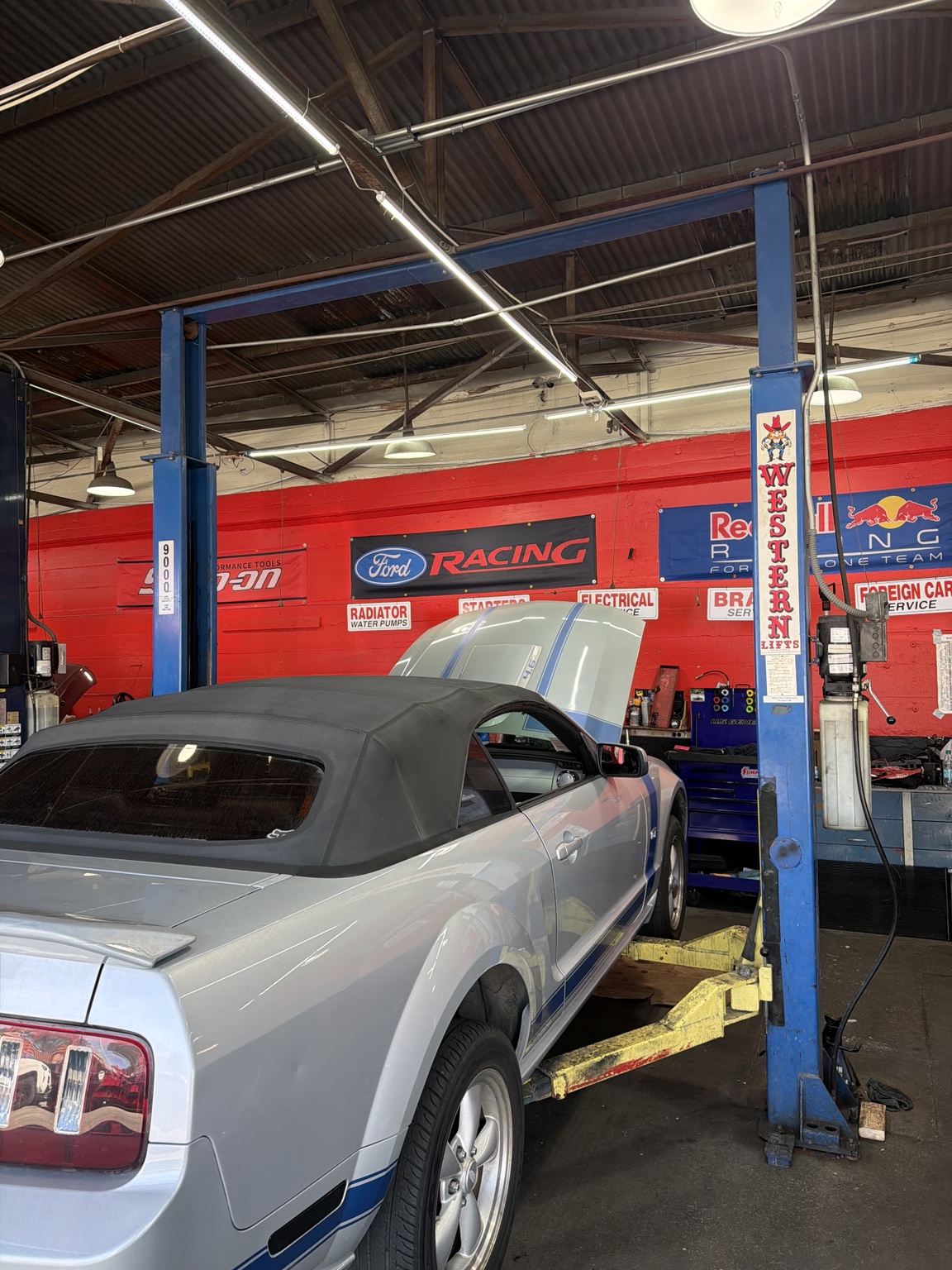 Mustang being serviced on a lift